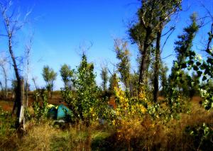 DSC04913.jpg