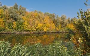 _MG_8332.jpg