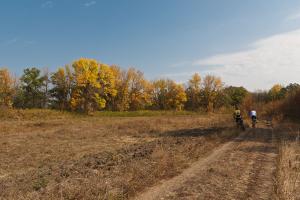 _MG_8353.jpg