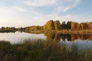 _MG_8430.jpg