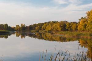 _MG_8434.jpg