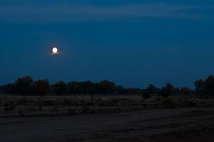 _MG_8455.jpg