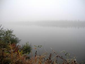 DSCN2390а.jpg