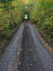 P1390598-(копия)2.jpg