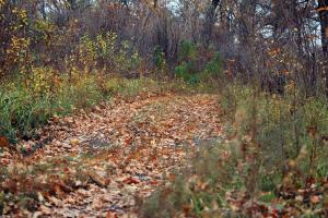 20131019_161338.jpg