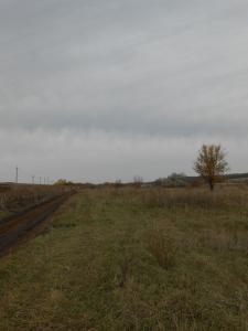 DSCN0264.JPG