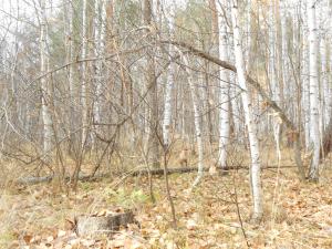 DSCN0280.JPG