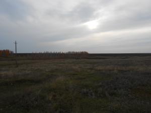 DSCN0284.JPG