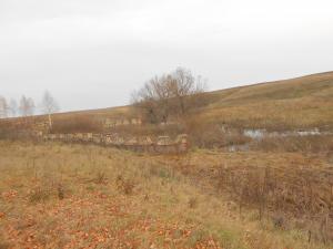 DSCN0289.JPG