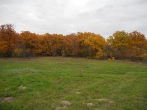 DSCN7151.JPG
