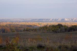 DSCN7205.JPG