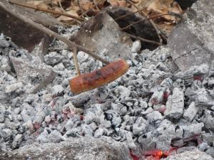 IMG_3078.jpg