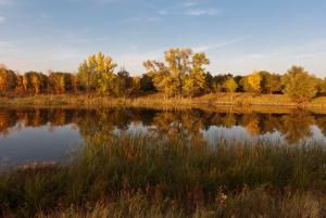 _MG_8435.jpg