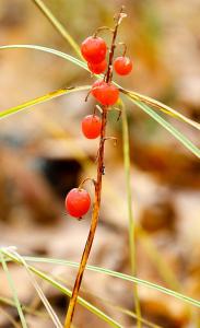 IMG_3639.jpg