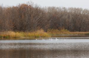 IMG_3655.jpg