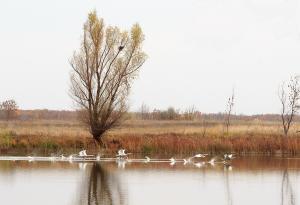 IMG_3659.jpg