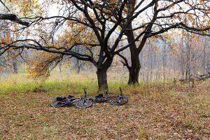 IMG_3683.jpg