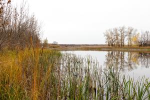 IMG_3688.jpg