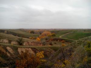 IMG_20131012_115910.jpg