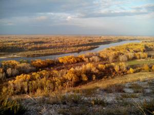 IMG_20131012_192358.jpg
