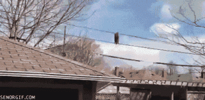 provoda.gif