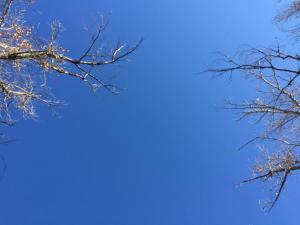 IMG_0428.JPG