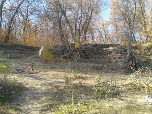 2014-10-15 14.07.59.jpg