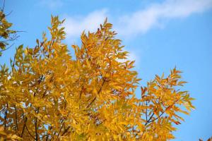 20141005_140214.jpg