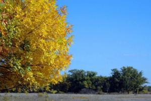 20141005_135818.jpg