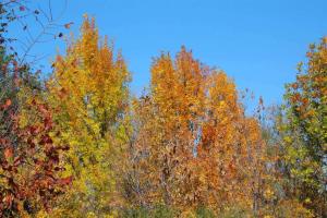 20141005_142010.jpg