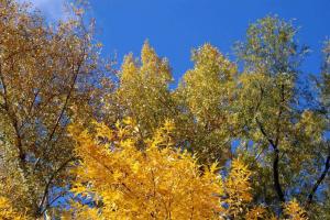20141005_142910.jpg