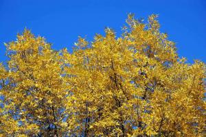 20141005_140728.jpg