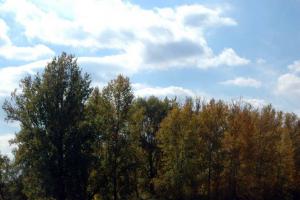 20141005_142614.jpg