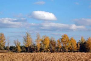 20141005_163726.jpg