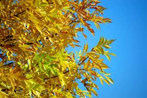 20141005_135830.jpg