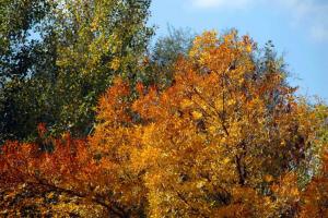20141005_140240.jpg