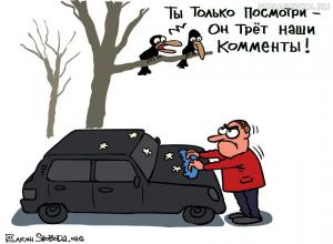 каменты.jpg