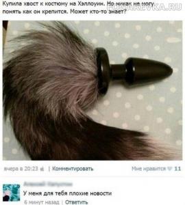 xvost.jpg