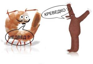 KNXCfl7UXMk.jpg