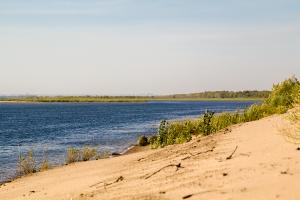 IMG_4305.jpg