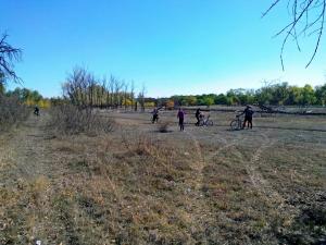 IMG_20151004_105818_proc.jpg