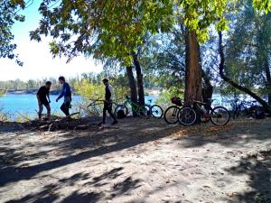 IMG_20151004_120307_proc.jpg