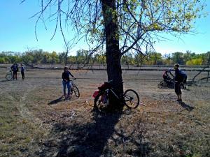 IMG_20151004_105810_proc.jpg