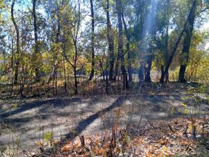 IMG_20151004_102132_proc.jpg
