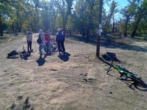 IMG_20151004_094313_proc.jpg