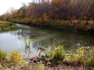 IMG_20161008_130017.jpg