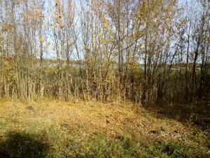 IMG_20161008_143649.jpg