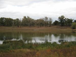 IMG_3697.JPG