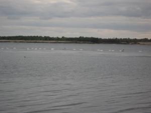 IMG_3698.JPG