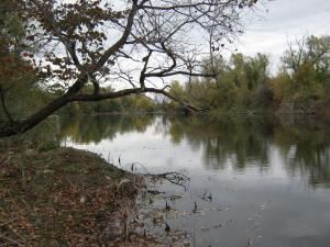 IMG_3689.JPG
